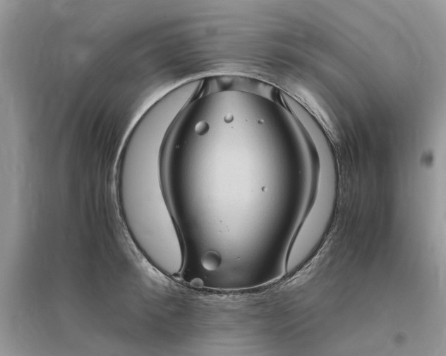 X0000096400900200802071558