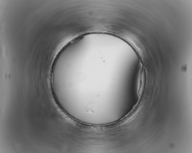 X0000096400901200802071558