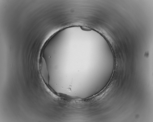 X0000096400902200802071558