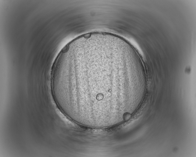 X0000096400903200802071558