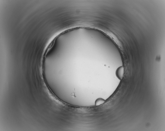 X0000096400904200802071558