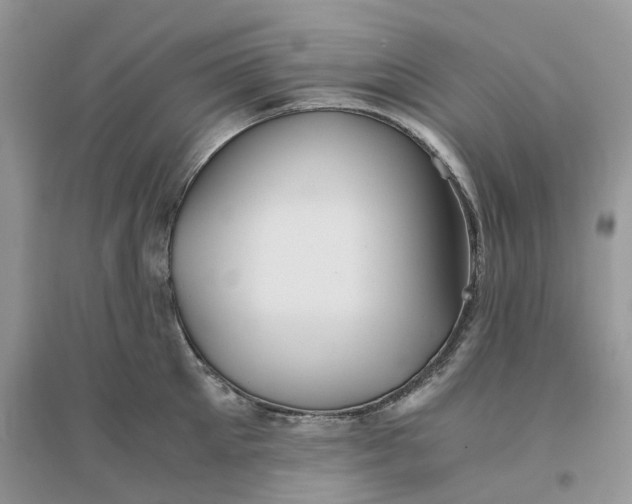 X0000096400905200802071558