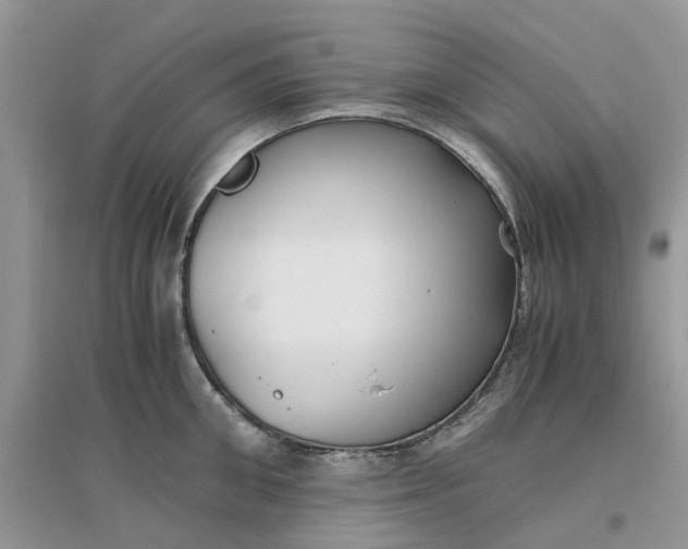 X0000096400906200802071558