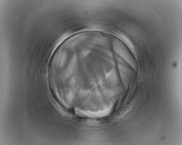 X0000096400907200802071558