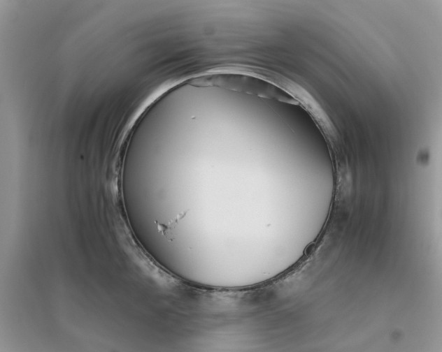 X0000096400908200802071558