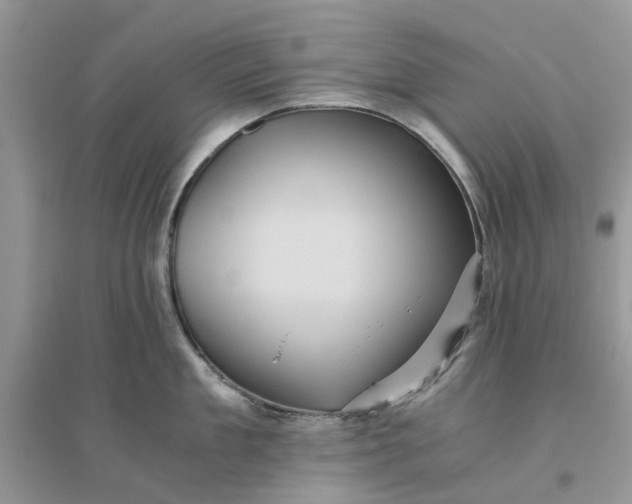 X0000096400909200802071558