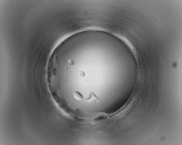 X0000096400910200802071558