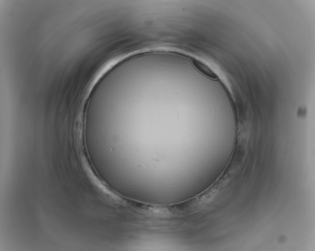 X0000096400911200802071558