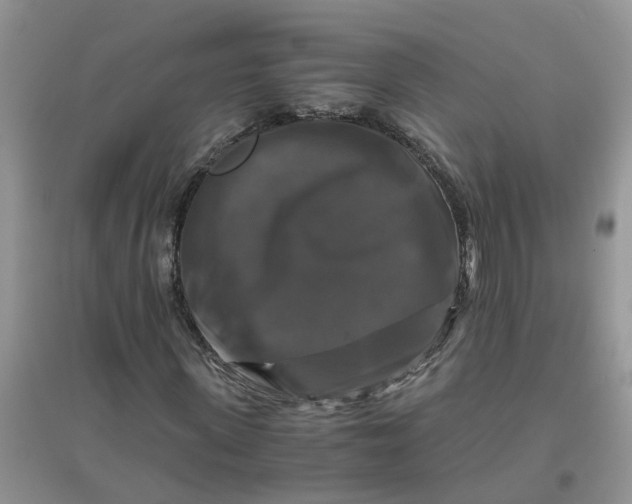 X0000096400915200802071557