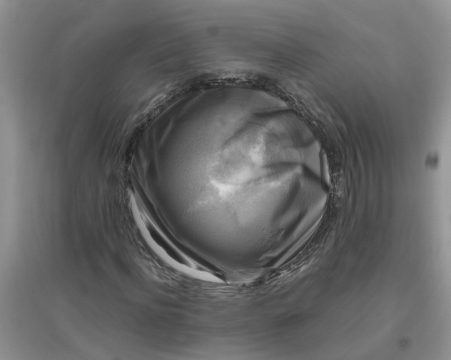 X0000096400916200802071557