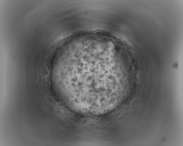 X0000096400917200802071557