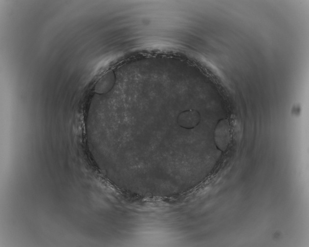 X0000096400918200802071557