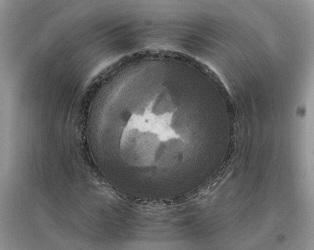 X0000096400919200802071557