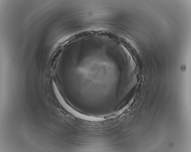 X0000096400920200802071557