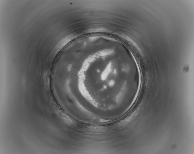 X0000096400921200802071557