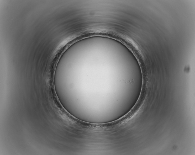 X0000096400922200802071557