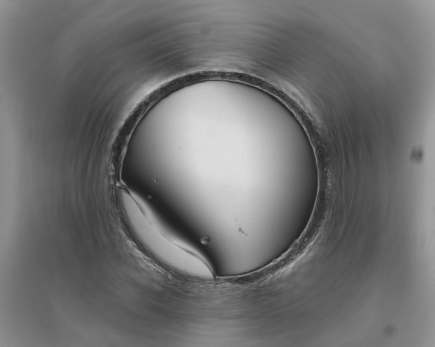 X0000096400926200802071557