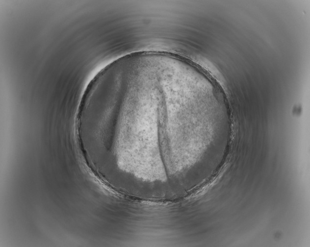 X0000096400928200802071557