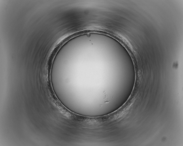 X0000096400931200802071557