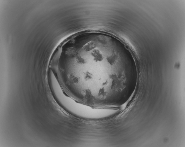 X0000096400932200802071557