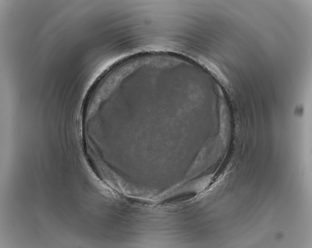 X0000096400934200802071557