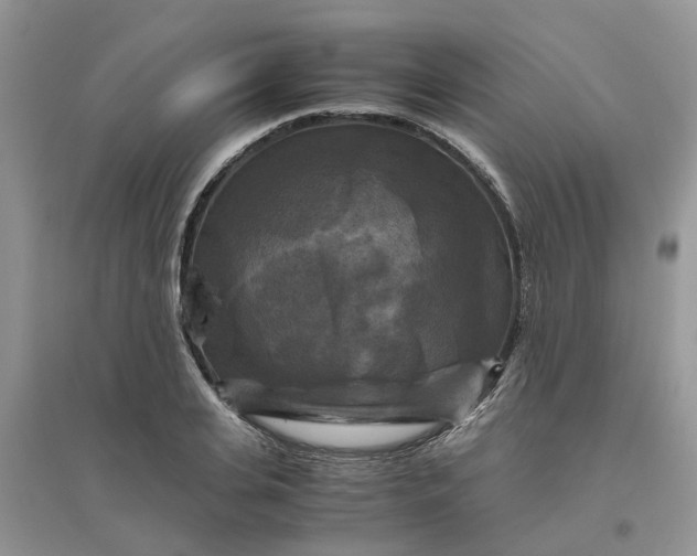 X0000096400935200802071557