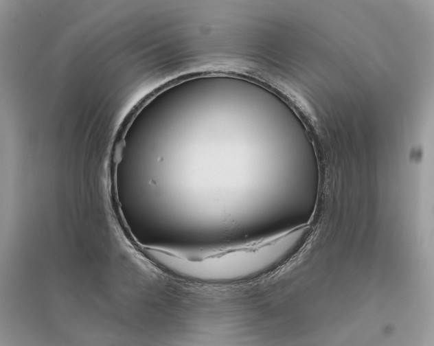 X0000096400936200802071557