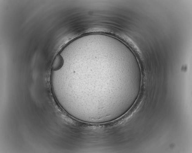 X0000096400937200802071557