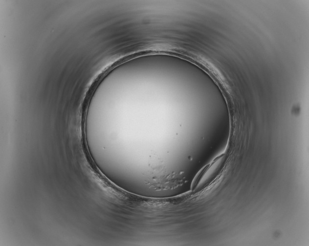 X0000096400939200802071557