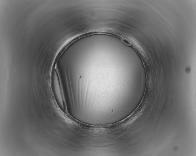 X0000096400940200802071558