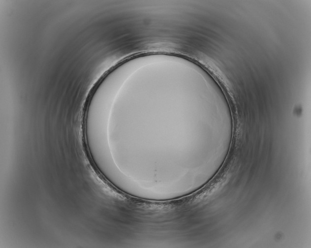 X0000096400941200802071558