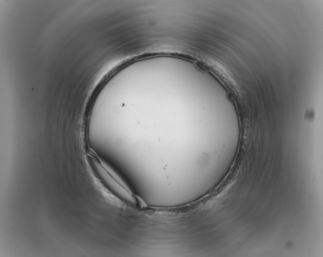 X0000096400942200802071558