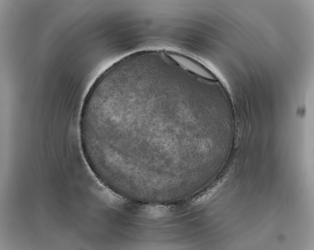 X0000096400943200802071558