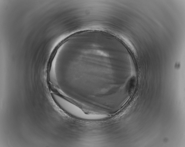 X0000096400944200802071558