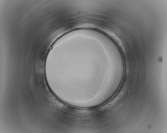 X0000096400945200802071558