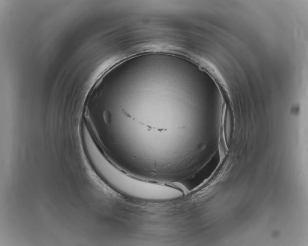 X0000096400946200802071558