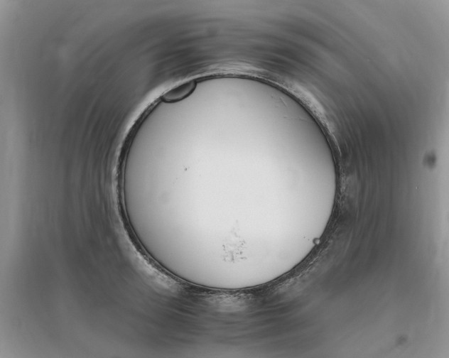 X0000096400947200802071558