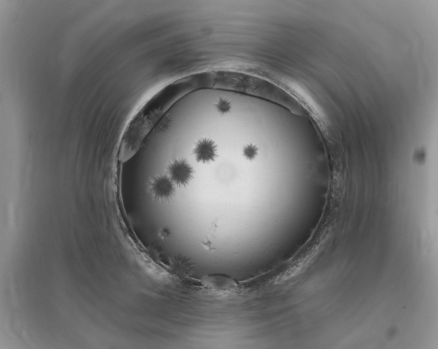 X0000096400948200802071558