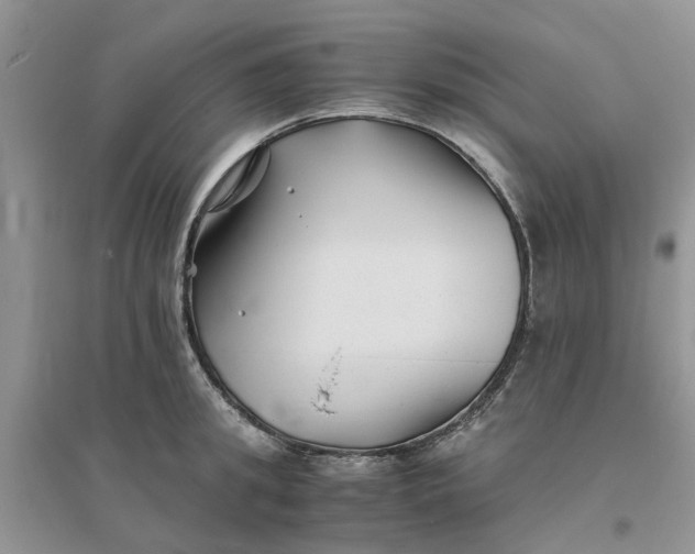 X0000096400949200802071558