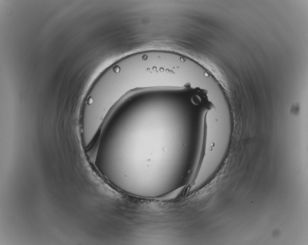 X0000096400950200802071558