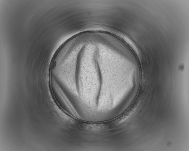 X0000096400951200802071558