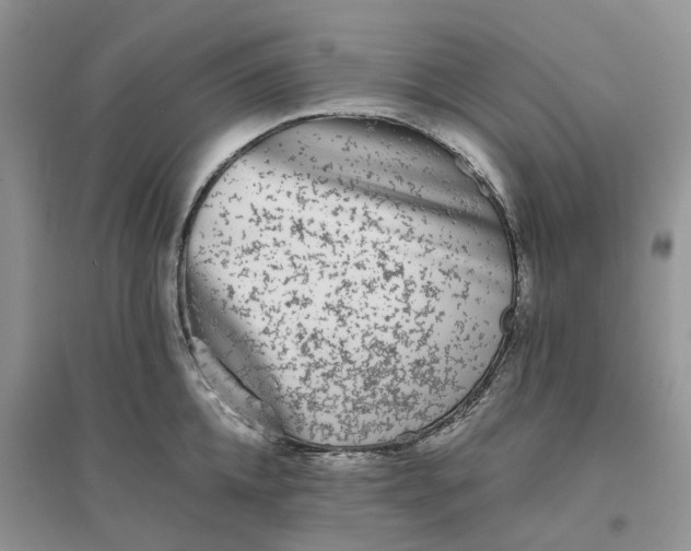 X0000096400952200802071558