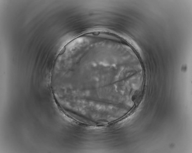 X0000096400953200802071558