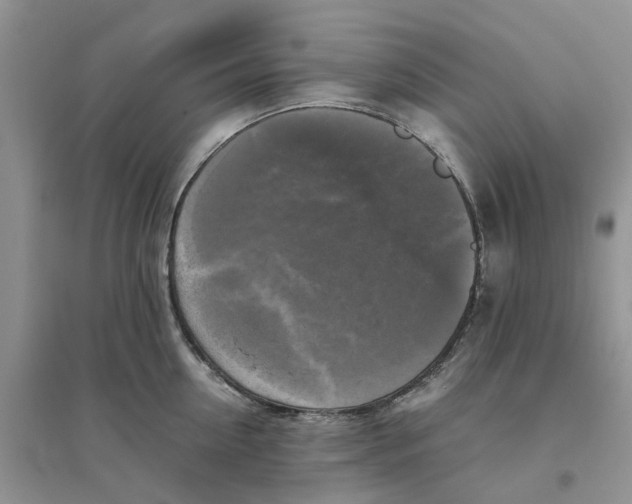 X0000096400954200802071558