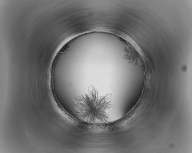 X0000096400955200802071558