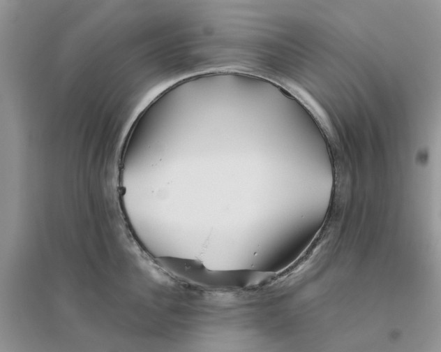 X0000096400956200802071558