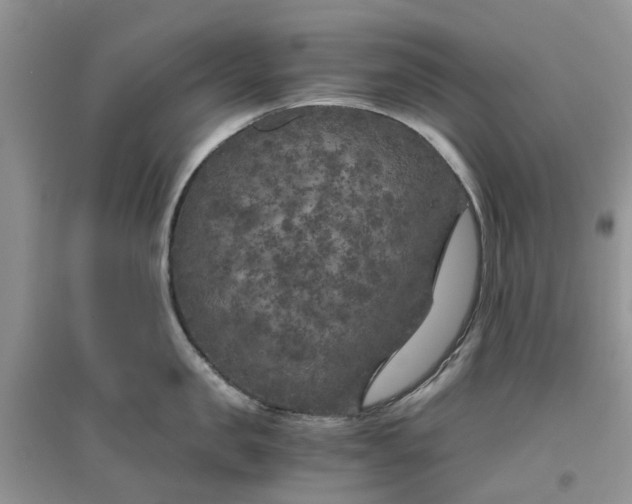 X0000096400957200802071558