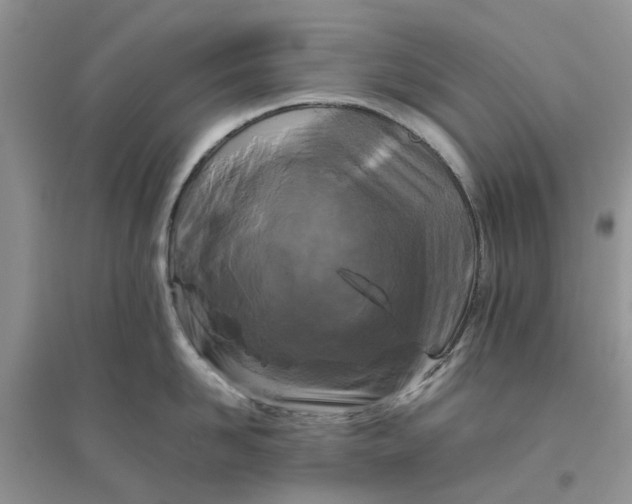 X0000096400958200802071558