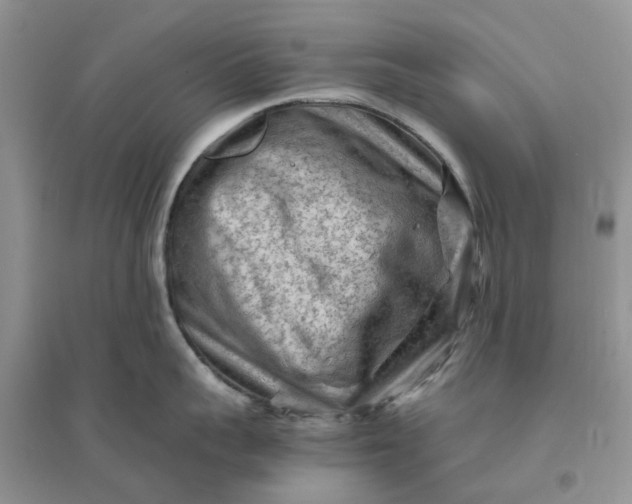 X0000096400959200802071558