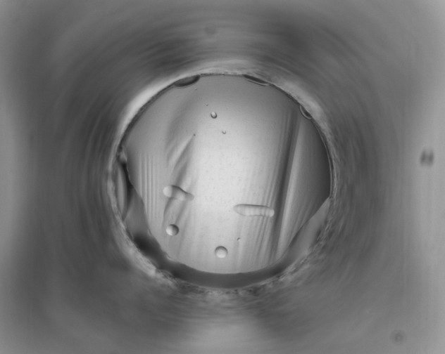 X0000096400960200802071558